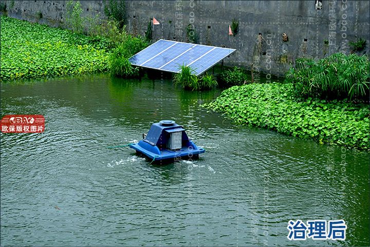 上海市航头断头河道治理