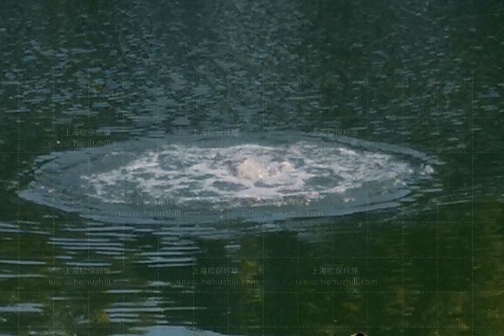 如何解决水库水源地铁锰超标问题