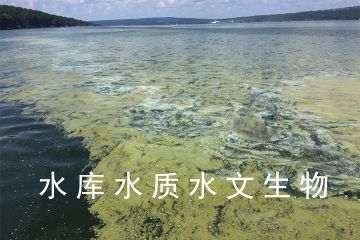 水库生态修复与保护