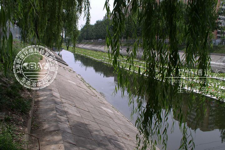 2003年欧保环境第一款生物浮岛用于北京河道治理 2003年欧保环境第一款生物浮岛用于北京河道治理