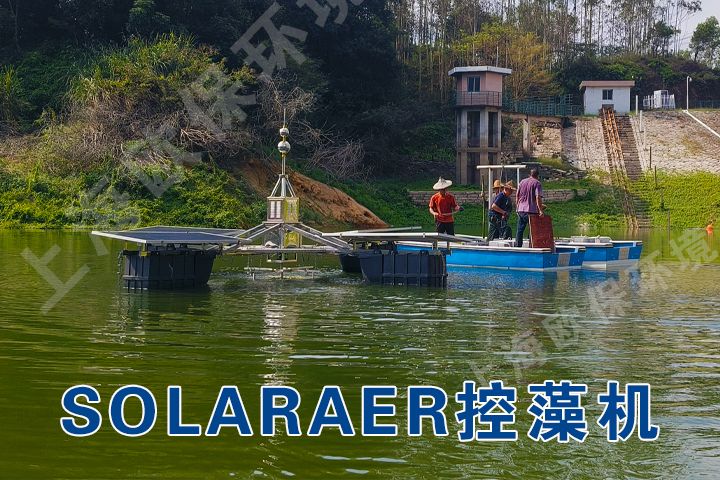 太阳能控藻机消除桥内水库水质富营养化 太阳能控藻机消除桥内水库水质富营养化