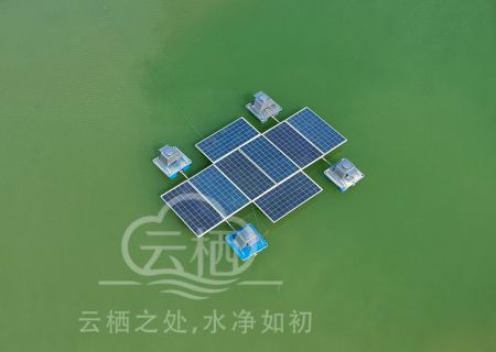 蓝藻治理应急装置(蓝藻爆发怎么处理) 蓝藻治理应急装置(蓝藻爆发怎么处理)