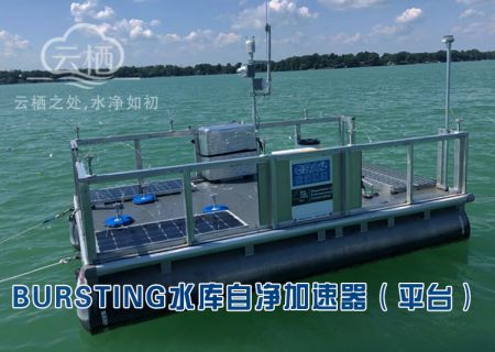 BURSTING水库自净加速器（平台）