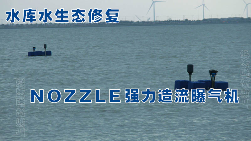 水库水生态修复