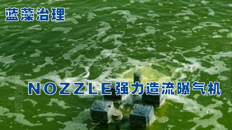蓝藻治理 蓝藻治理