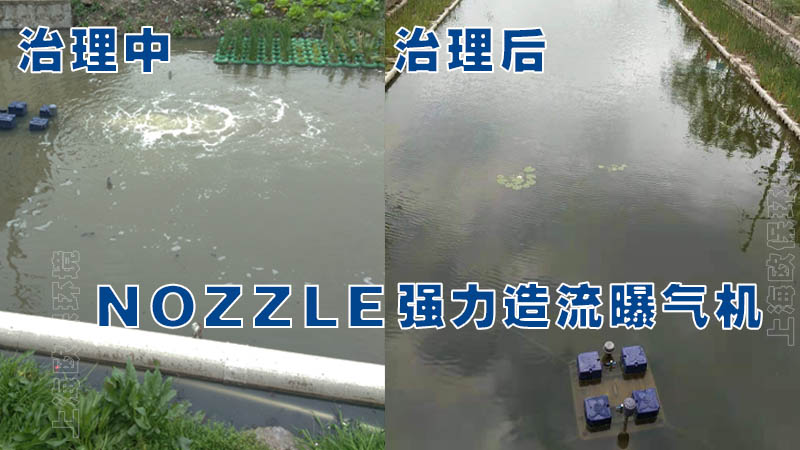 海口市东西湖、大同沟、龙昆沟河道水生态修复