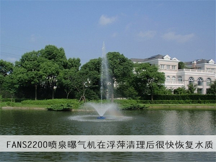 喷泉曝气机
