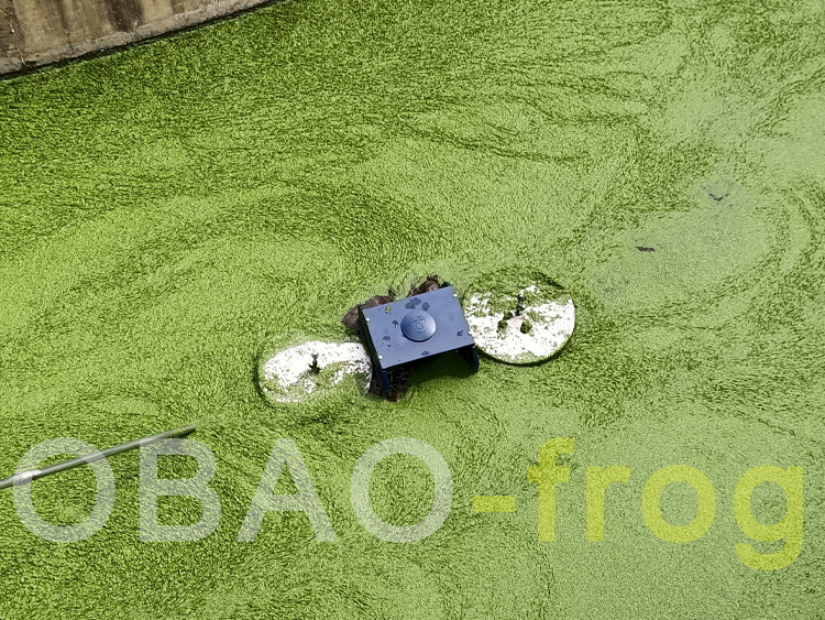 便携式浮萍打捞机