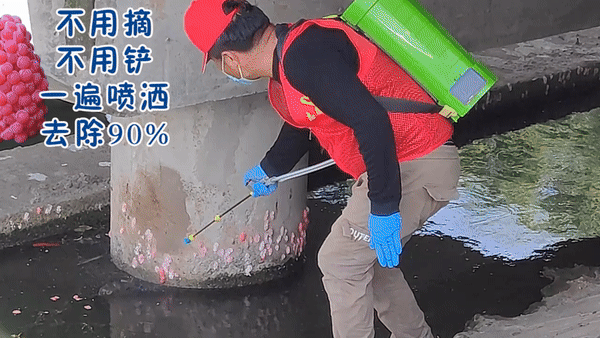 福寿螺治理 福寿螺治理