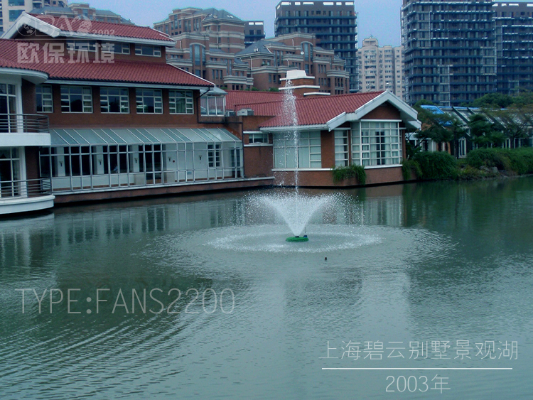 上海碧云别墅景观湖治理