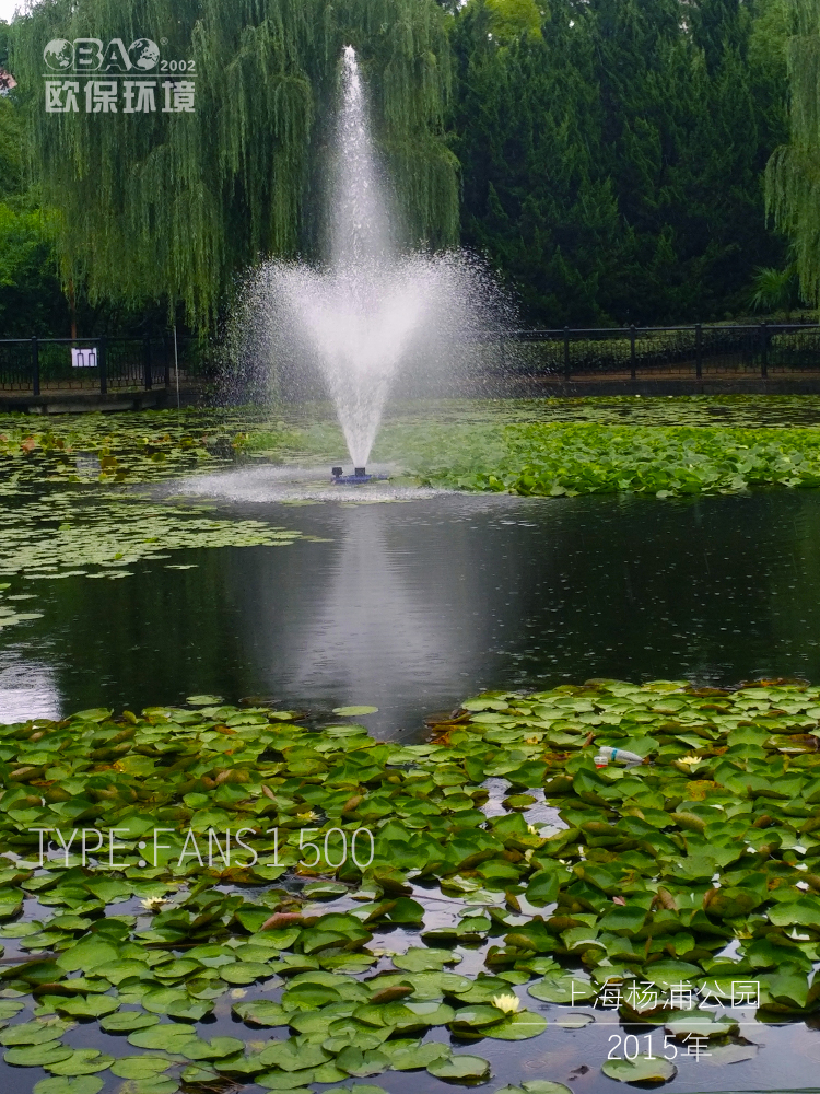 上海杨浦公园水环境修复