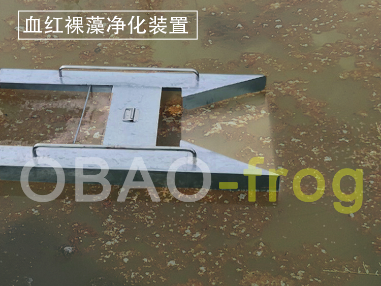 Euglena Sanguinea Purification Device Euglena Sanguinea Purification Device