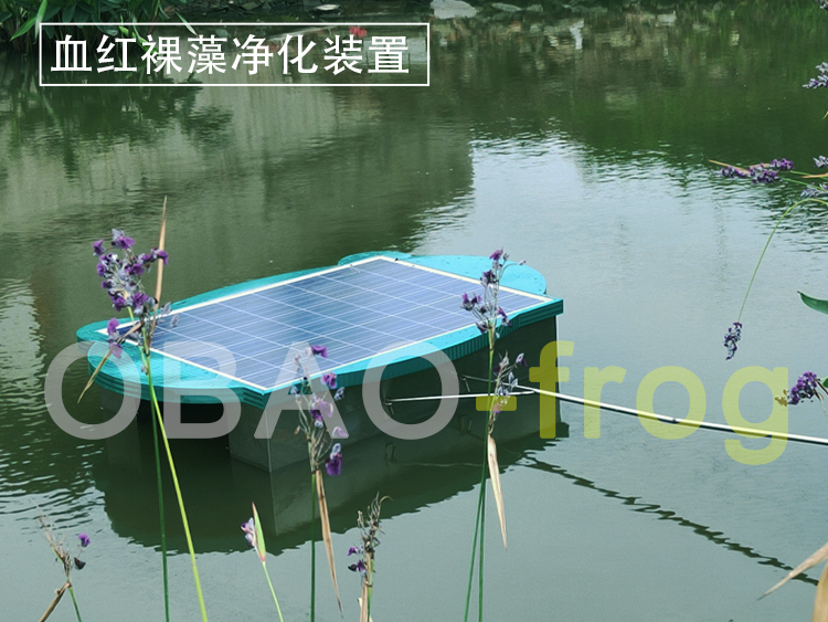 Euglena Sanguinea Purification Device Euglena Sanguinea Purification Device