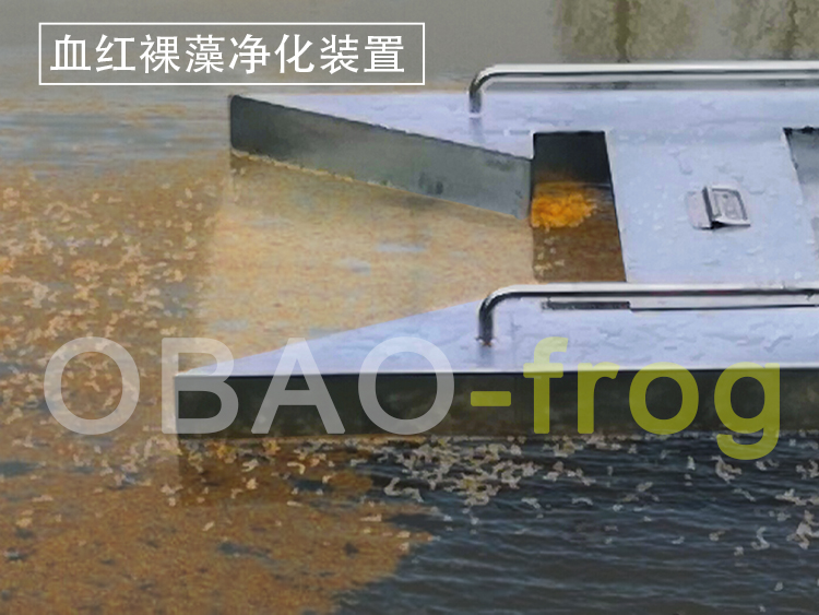 Euglena Sanguinea Purification Device Euglena Sanguinea Purification Device