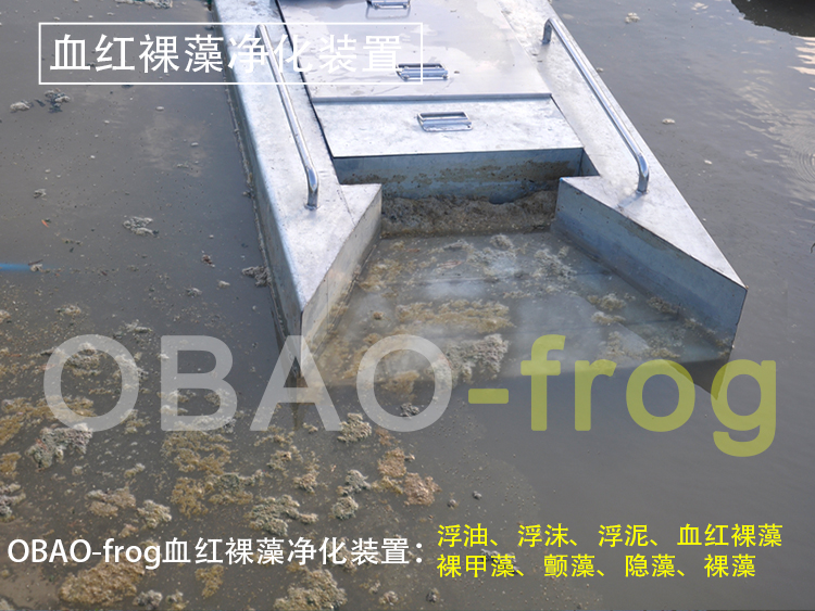 Euglena Sanguinea Purification Device Euglena Sanguinea Purification Device