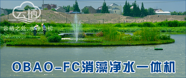 消藻净水一体机