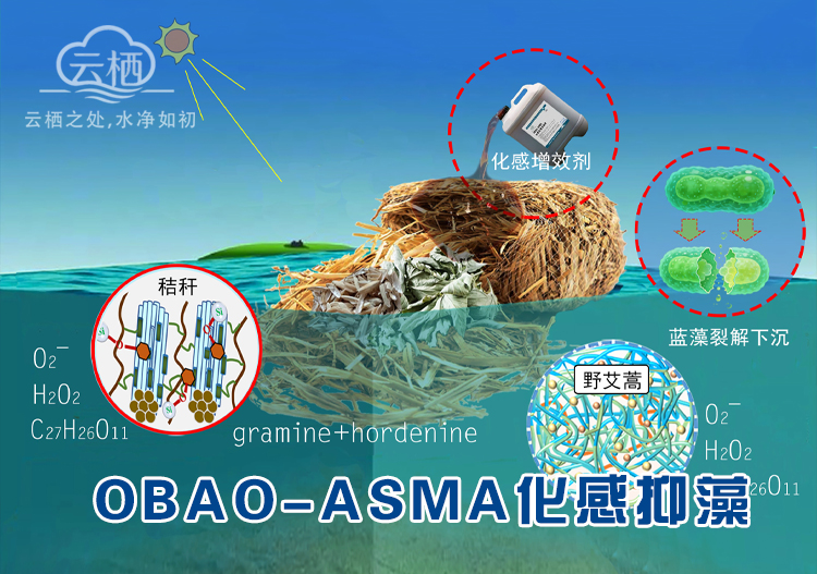 化感控藻生物包