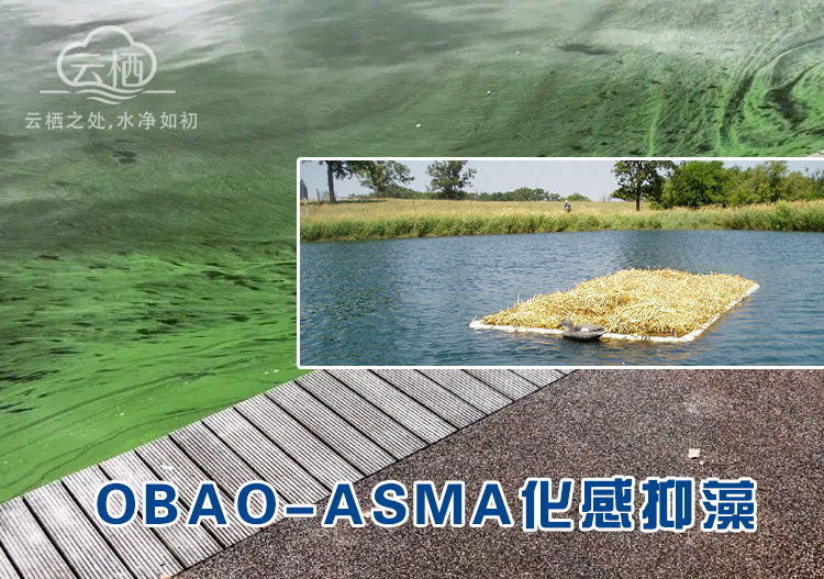 化感控藻生物包