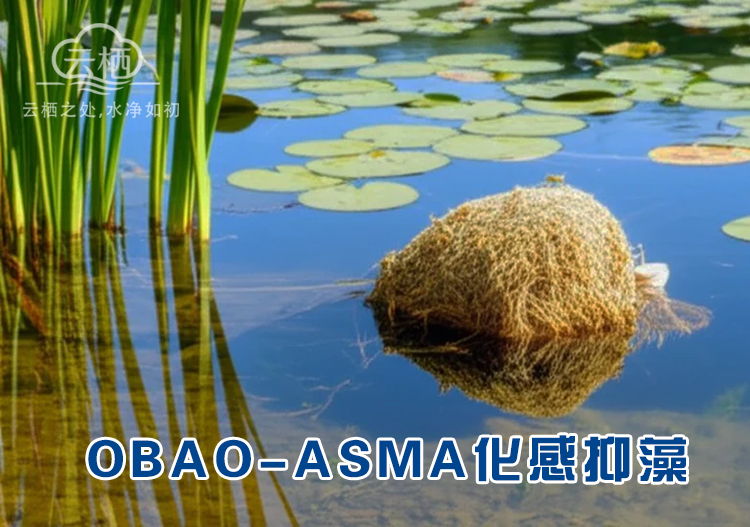 OBAO-ASMA化感抑藻
