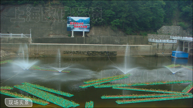 水库治理