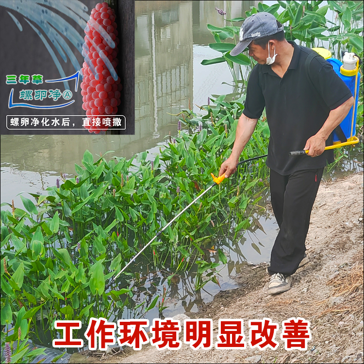 消灭福寿螺.jpg