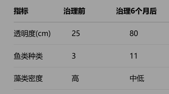 河道治理效果