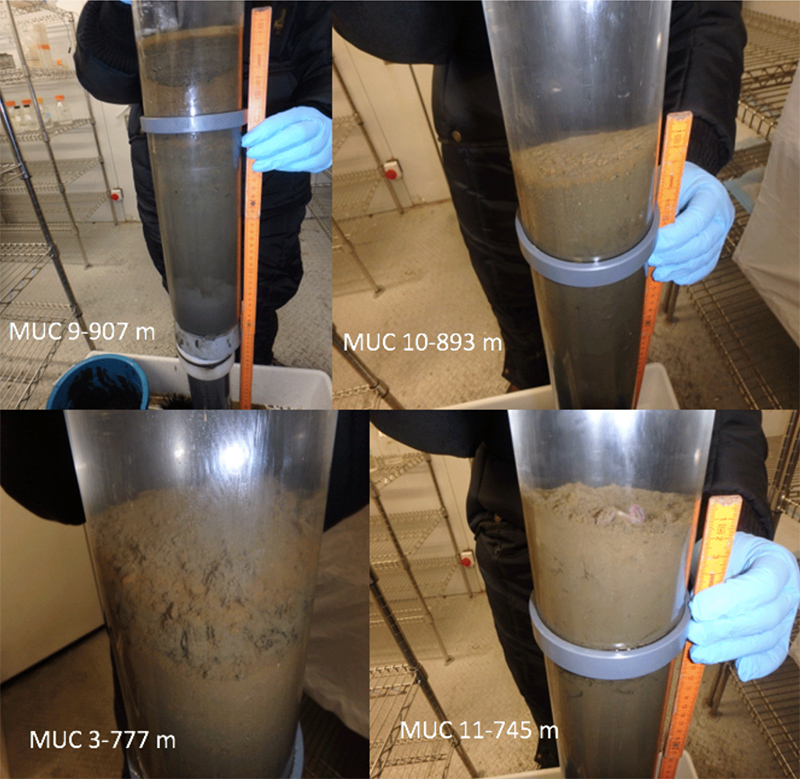 纯氧曝气装置 纯氧曝气装置