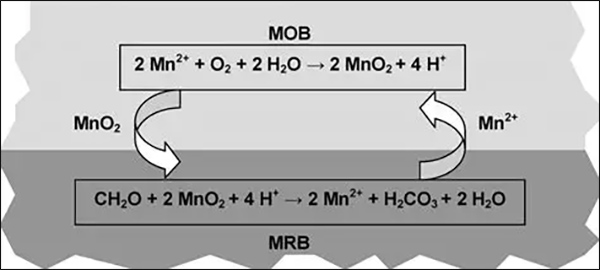 水库铁锰超标 水库铁锰超标