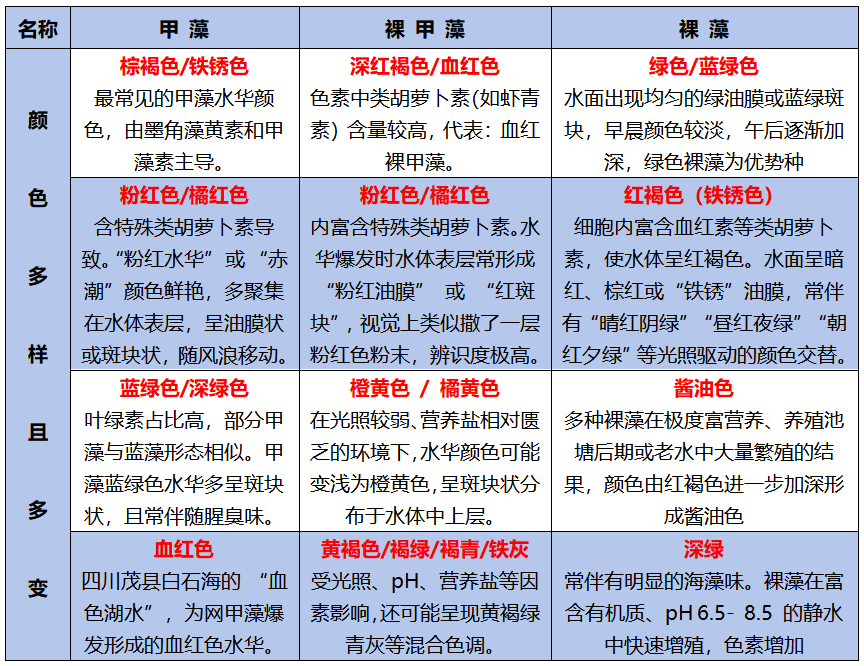 识别裸藻、甲藻与裸甲藻 识别裸藻、甲藻与裸甲藻