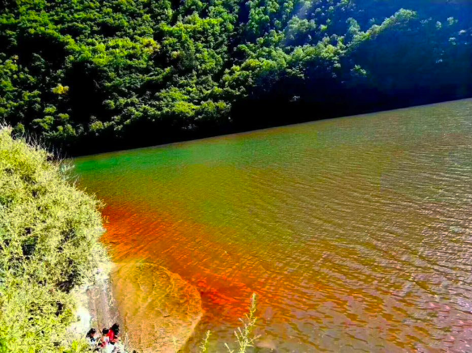 甲藻水华 甲藻水华