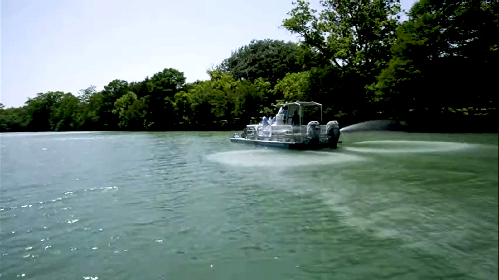 噬藻微生物 噬藻微生物