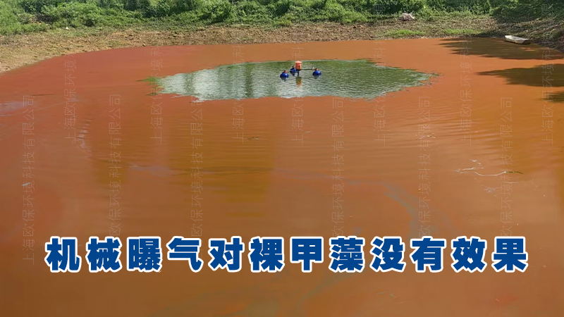 裸甲藻水华 裸甲藻水华