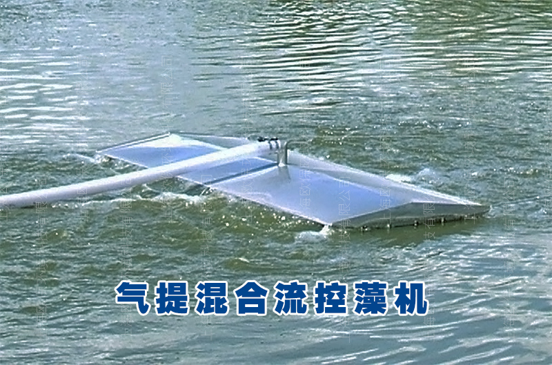 裸甲藻水华 裸甲藻水华