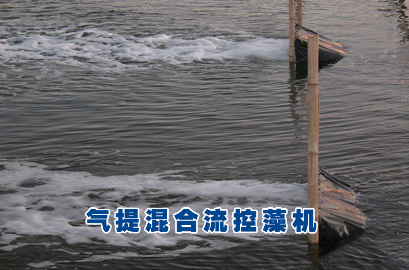 裸甲藻水华 裸甲藻水华