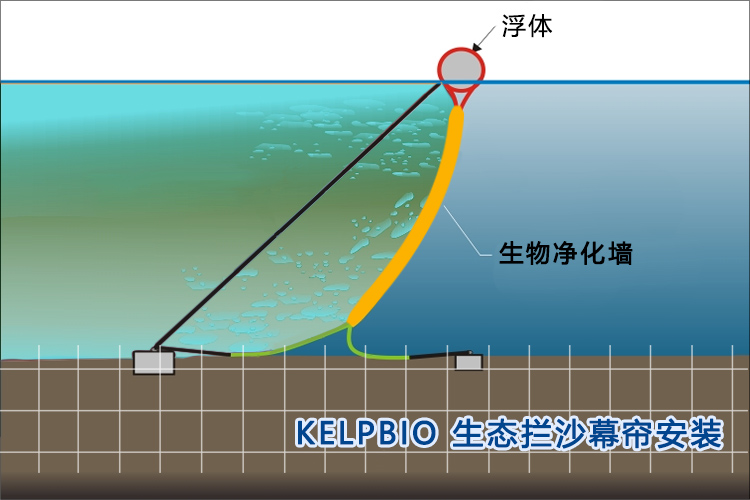 生物净化墙 生物净化墙