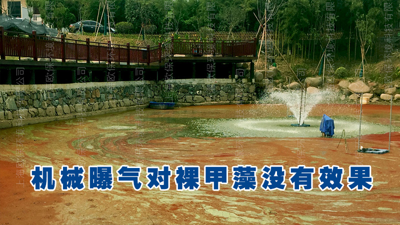 裸甲藻水华 裸甲藻水华