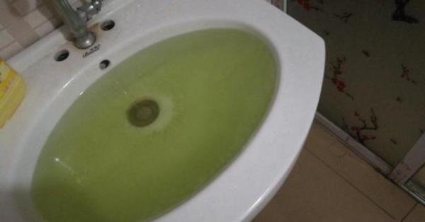 裸藻水华 裸藻水华