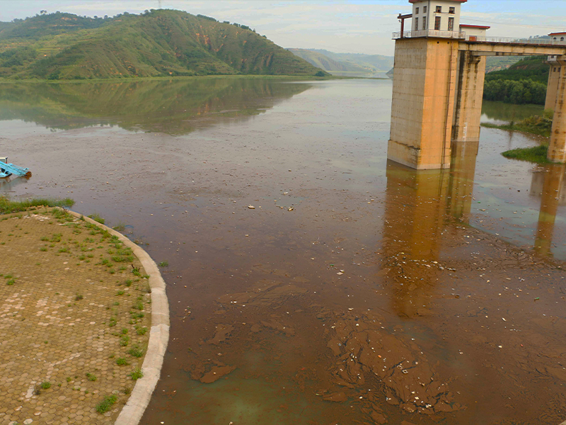 裸藻水华 裸藻水华