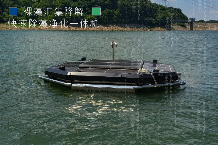 控藻机 控藻机