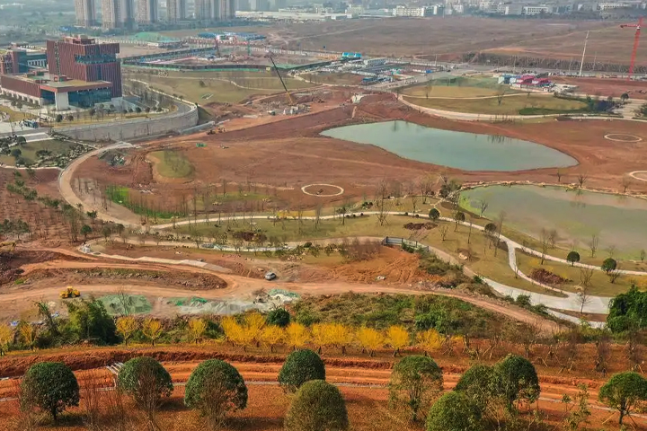 1765083065973156.jpg 0.jpg