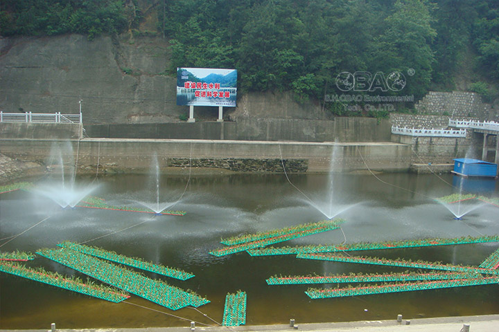 水库蓝藻治理 水库蓝藻治理