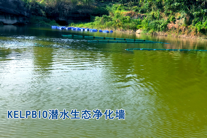 1765591771398843.jpg 2生态净化墙.jpg