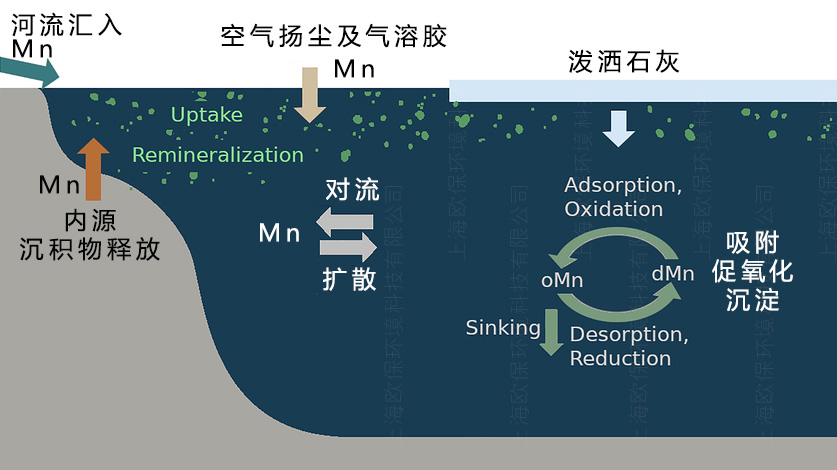 水库除锰 水库除锰