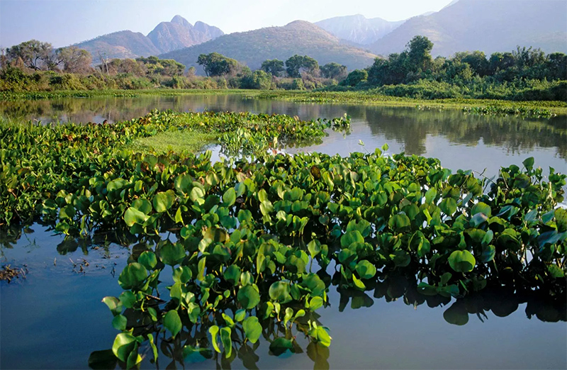 水库除锰 水库除锰