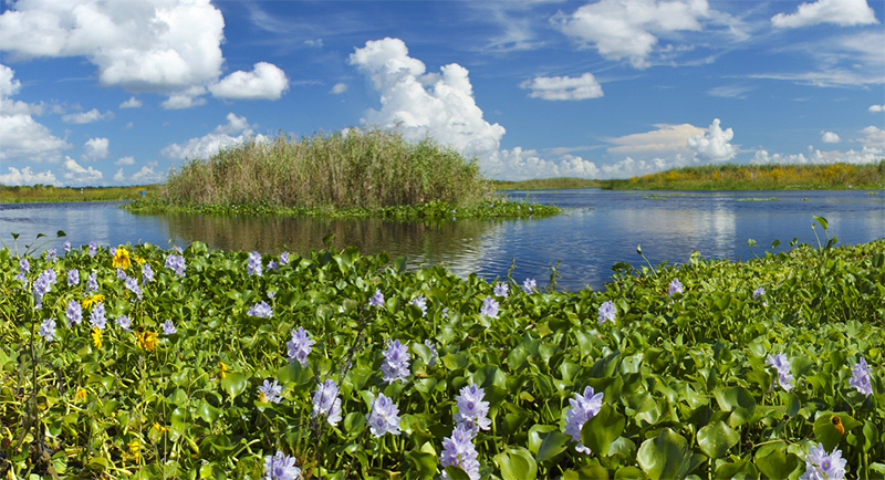 水库除锰 水库除锰