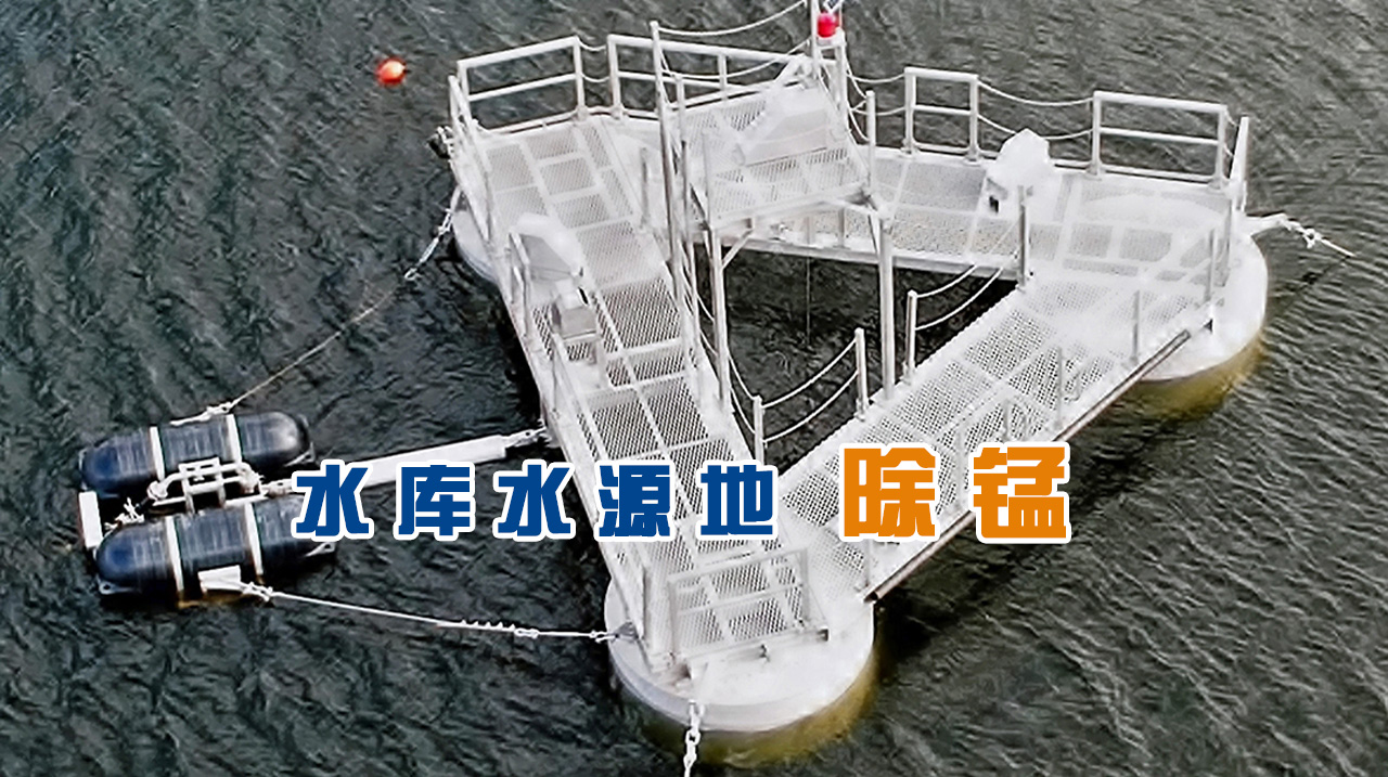 水库除锰 水库除锰