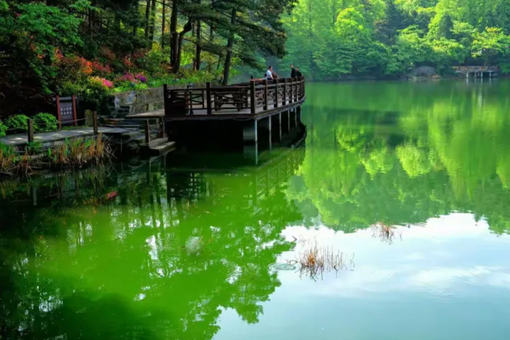 水库蓝藻 水库蓝藻