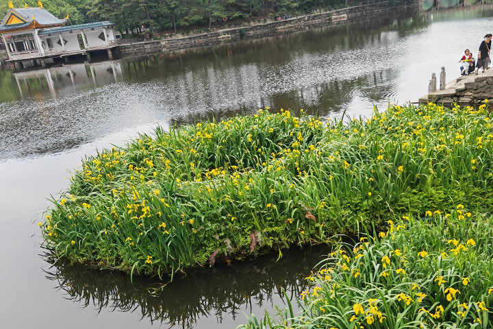 水库富营养化 水库富营养化