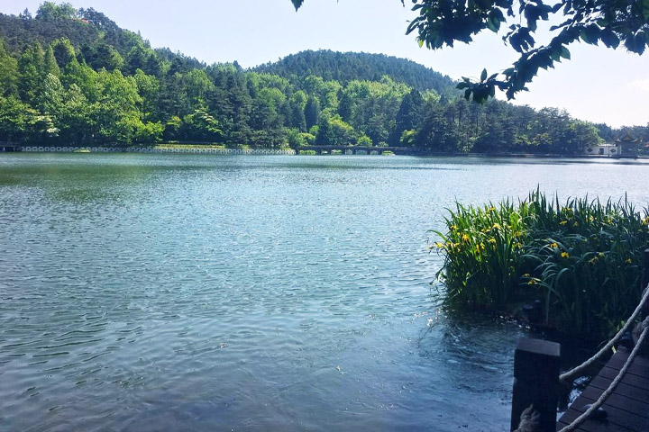 曝气浮岛 曝气浮岛