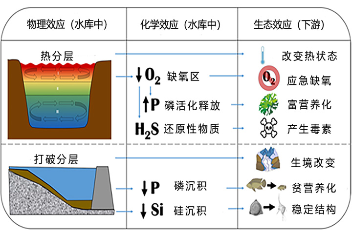 水库水生态修复 水库水生态修复